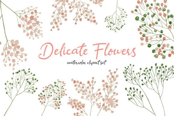 Download Delicate Flowers Hand-drawn Flower Set - Premium Resources