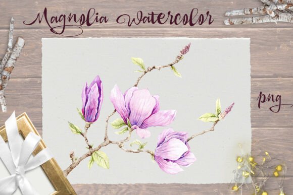 Download Delicate Magnolia Print Png - Delicate Collection