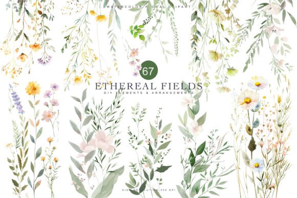 Download Watercolor Delicate Wildflower Clipart - Delicate Collection