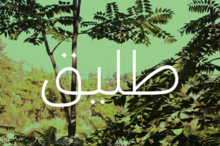 Download Taleeq - Arabic Typeface - Arabic Collection