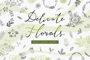 Download Delicate Florals Collection - Delicate Collection