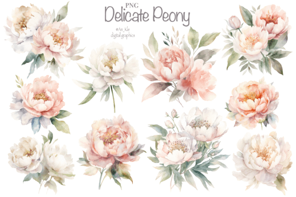 Download Delicate Peone Flowers - Delicate Collection