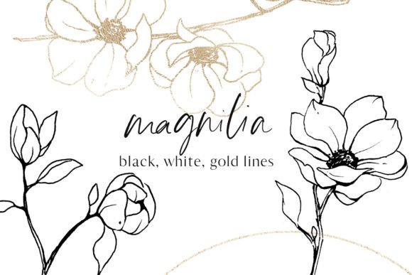 Download Flowers Magnolia Line Art Floral Set - Line art Collection