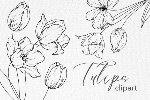 Download Tulips Line Drawing, Floral Line Art - Line art Collection