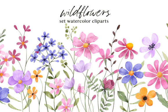 Download Floral Watercolor Set, Flowers, Leaves. - Floral Collection