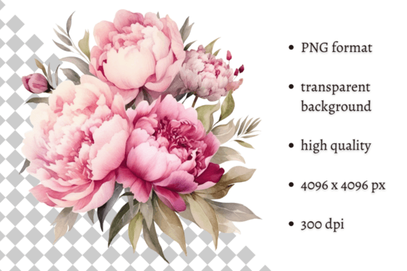 Download Watercolor Delicate Peonies Clipart - Delicate Collection
